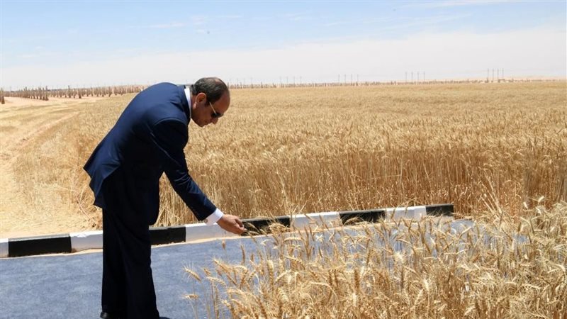 الرئيس السيسي