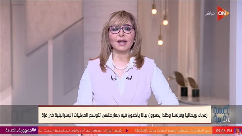 لميس الحديدي