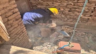 استجابة سريعة لبلاغ سيدة.. قوات الحماية المدنية بالفيوم تنقذ قطتين ببني سويف