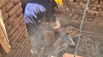 تلبية لاستغاثة سيدة.. الحماية المدنية بالفيوم تنقذ قطتين محتجزتين بعقار