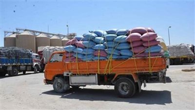 صوامع الفيوم تستقبل محصول القمح بوفرة والرصيد يقترب من 200 ألف طن