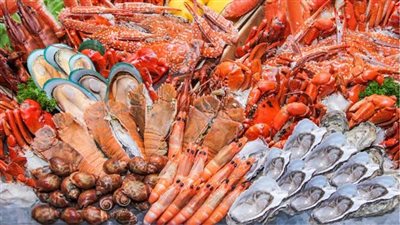 وصفات بحرية.. بيتزا السردين وفطيرة السلطعون من كتاب 