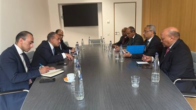 وزير الخارجية ونظيره الجيبوتي يؤكدان على أهمية التنسيق في القضايا الإقليمية