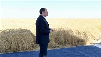 نقيب الفلاحين: حضور الرئيس السيسي لموسم حصاد القمح دعمًا قويًا للفلاحين|فيديو