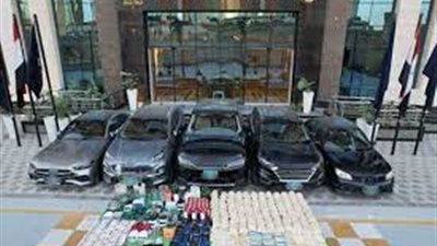 رفع أولى جلسات محاكمة سارة خليفة و27 متهماً في قضية مخدرات وأسلحة