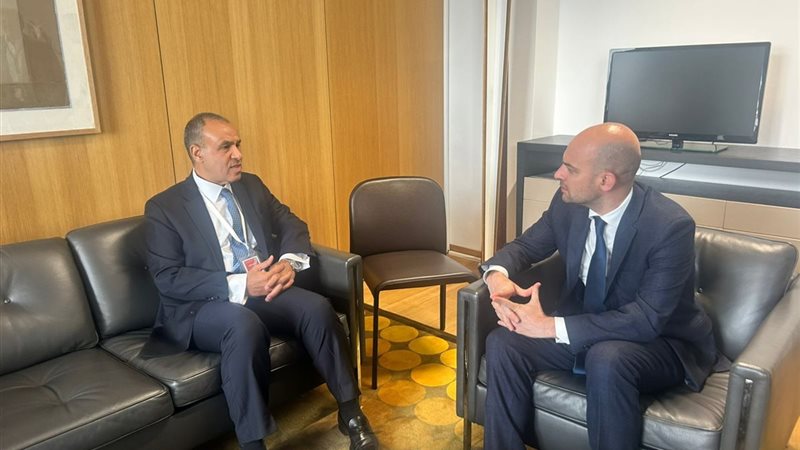 بدر عبد العاطي ووزير