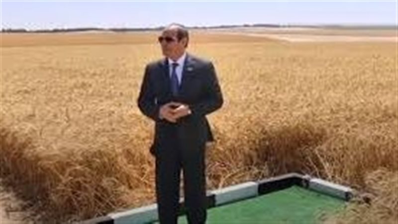 الرئيس السيسي