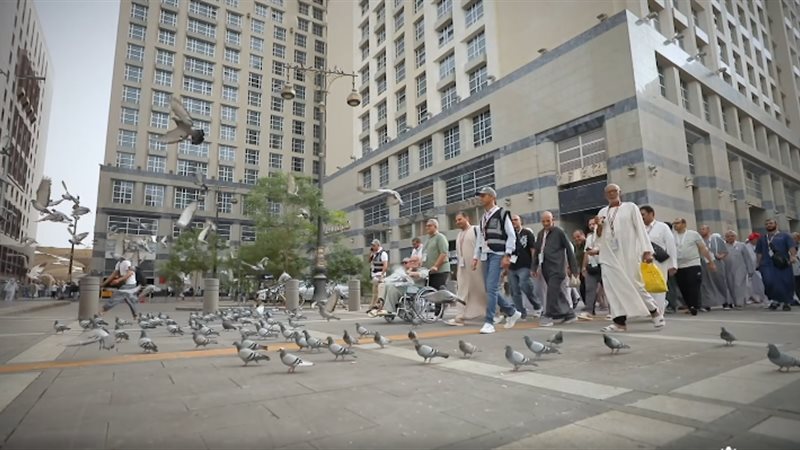 بعثة حج القرعة