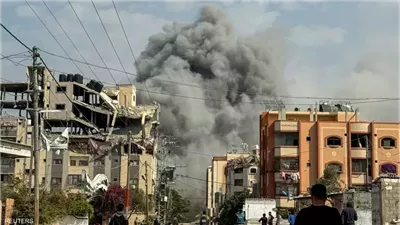 محلل سياسي: الكلاب تأكل جثث الفلسطينيين في غزة                        