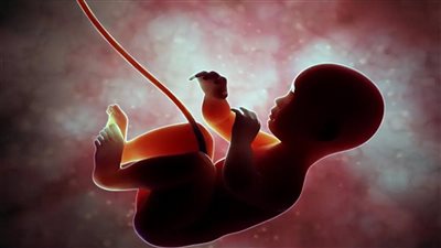 كيف تحمين جنينك من تأخر النمو داخل الرحم (IUGR)؟ يستحق البداية الأفضل