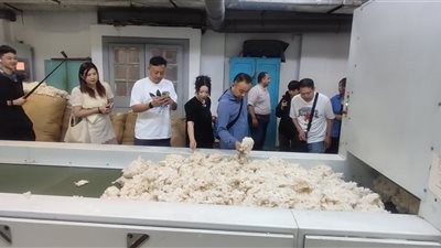 مصطفى عمارة: بحث فرص التعاون وتطوير سلاسل القيمة للقطن المصري