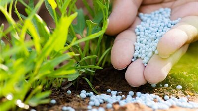 سماد مصر تعلن القيمة العادلة للسهم قبل عرض استحواذ شركة إماراتية