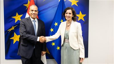 وزيرالخارجية لمفوضة الأوروبية لإدارة الأزمات: الأولوية لوقف إطلاق النار بغزة