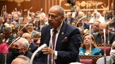 النائب هاني العسال: الحكومة تسير بخطى ثابتة نحو تطوير منهجية التخطيط المالي