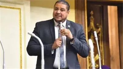 النائب محمد إسماعيل: التغيرات السكانية أوجبت تعديل تقسيم الدوائر 