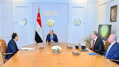 الرئيس السيسي يشدد على صيانة الشبكات الكهربائية لضمان عدم انقطاع الكهرباء