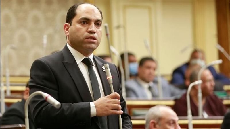 النائب عمرو درويش