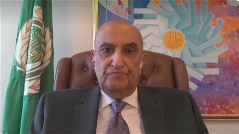 السفير ماجد عبد الفتاح