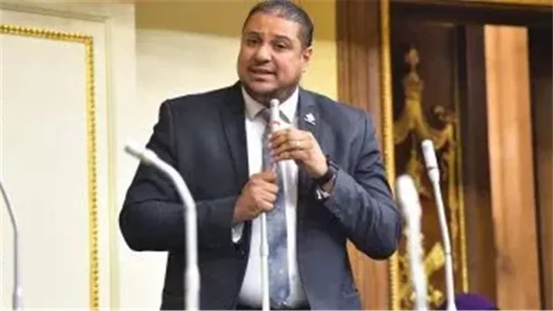 النائب محمد إسماعيل