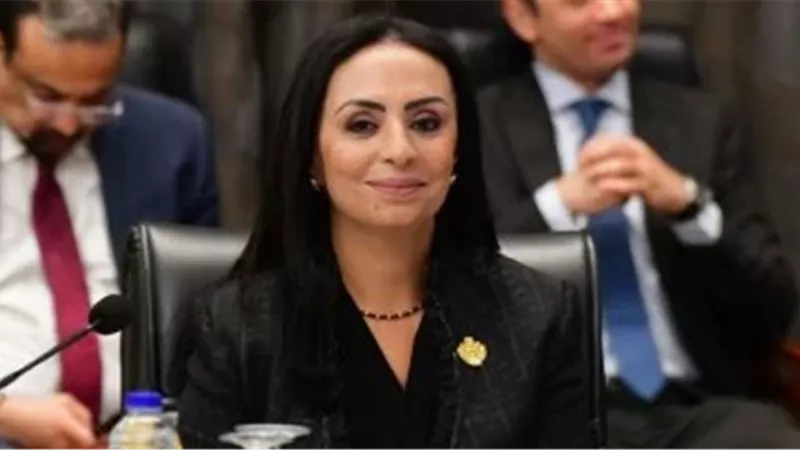 الدكتورة مايا مرسي