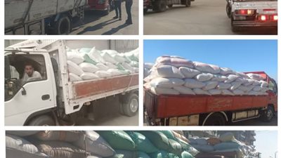 القمح يتصدر المشهد الزراعي بالبحيرة ومراكز التجميع تواصل استقبال المحصول