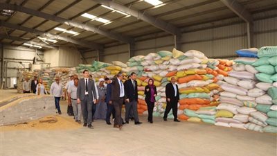 بنسبة 160%؜.. توريد 4100 طن قمح إلى شون ومخازن دمياط |صور