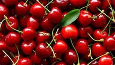 5 فوائد مثبتة علميًا لتناول الكرز… الفاكهة الحمراء التي تعزز صحتك بالصيف