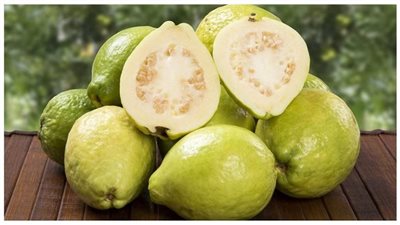 5 فوائد مذهلة لتناول كوب من عصير الجوافة يوميًا على صحة الجسم