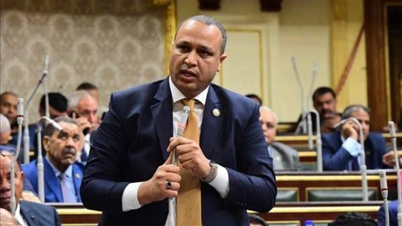 النائب محمد طلبة