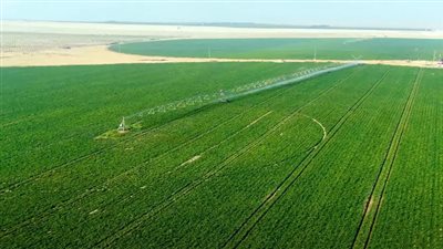 كاتب: «الدلتا الجديدة» خطوة لتحقيق الاكتفاء الذاتي وتقليل فاتورة الاستيراد