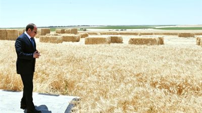 مصطفى بكري: «السيسي ما بينامش الليل.. واللي مش عاجبه الإنجازات يشرب من البحر»