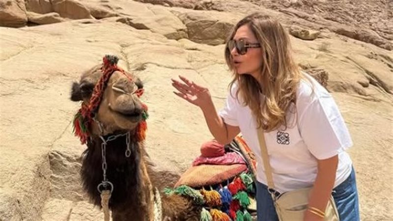 ليلى علوي