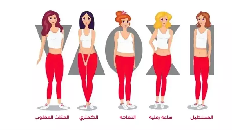 أشكال الجسم