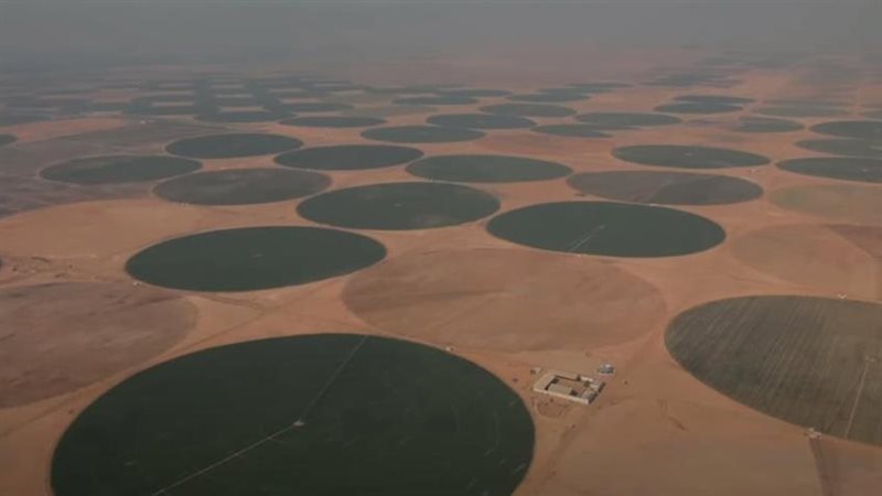 مشروعات جهاز مستقبل