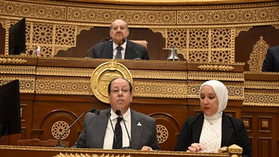 تشريعية الشيوخ: قانون الانتخابات يهدف لتحقيق توازن في عملية التمثيل النيابي