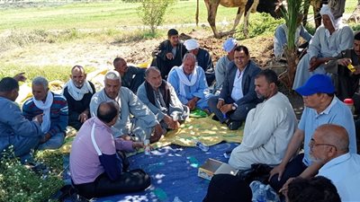 « الإرشاد الزراعي» تنفذ أكثر من 400 ندوة لتقديم الدعم الفني للمزارعين