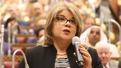 وكيلة مجلس الشيوخ: تعديل قانون الانتخابات يراعي المحافظات الحدودية 