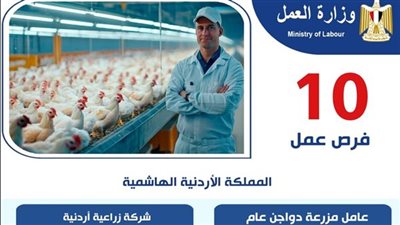 وزارة العمل: فرص عمل في الأردن لعمال مصريين في مجال تربية الطيور