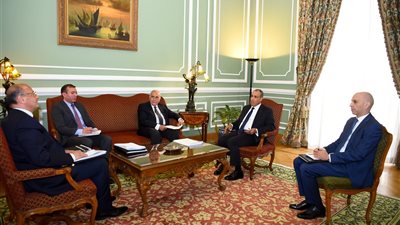 وزير الخارجية يبحث مع مهنا ترتيبات استضافة المنتدى الاقتصادى المصري الأمريكي