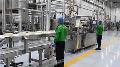 جهاز «مستقبل مصر»: مشروع متكامل لإنتاج الألبان المجففة محليا