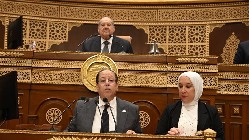 جانب من الجلسة