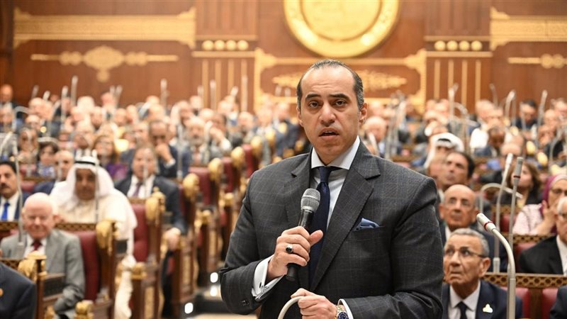 المستشار محمد فوزى