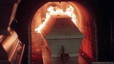 جحود الأبناء.. ماذا فعل 