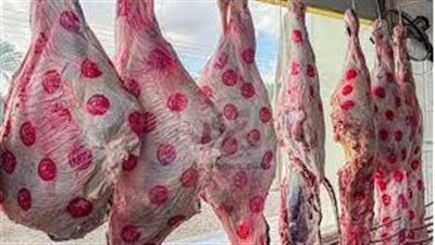 الضأن بـ 390 جنيهًا..محافظ أسيوط : طرح لحوم طازجة استعدادًا لعيد الأضحى
