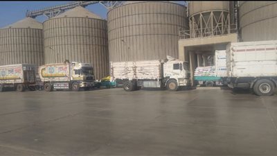 محافظ الشرقية: توريد أكثر من 3420 طنا من القمح إلى صوامع المحافظة حتى الآن