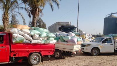 توريد 261 ألف طن قمح لشون وصوامع البحيرة منذ بدء الموسم