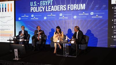 وزير المالية: زيادة مساهمة القطاع الخاص فى إجمالى الاستثمارات ليصل إلى 60% 