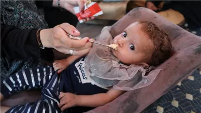 «سويسرا» تحقق في أنشطة مؤسسة غزة الإنسانية المدعومة من واشنطن