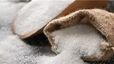 بشرى سارة.. شعبة المواد الغذائية: أسعار السكر تنخفض مع موسم إنتاج غير مسبوق