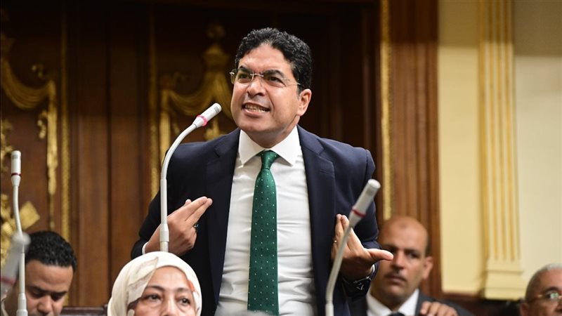 النائب ضياء الدين